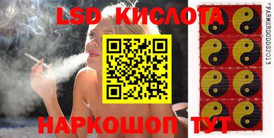 герыч Новозыбков