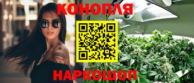 мяу мяу мука Новокубанск