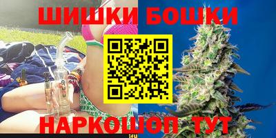 ешки Новодвинск