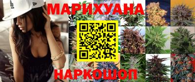 ешки Новодвинск