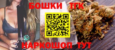 ешки Новодвинск