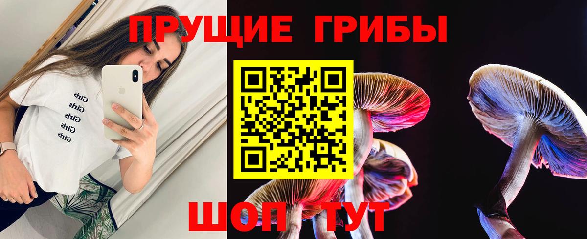Псилоцибиновые грибы MAGIC MUSHROOMS  Вход с VPN  Псилоцибиновые грибы Psilocybine cubensis  Апрелевка 